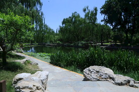 陶然亭风景 