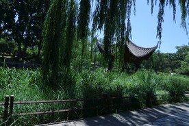 陶然亭风景 