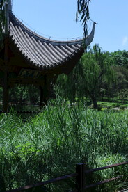 陶然亭风景 
