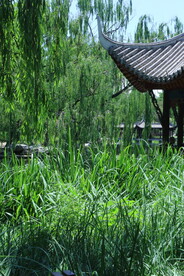 陶然亭风景 