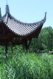 陶然亭风景  