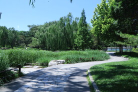 陶然亭风景 