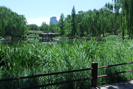 陶然亭风景