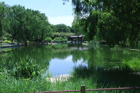 陶然亭风景 