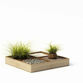 C4D模型 绿色植物