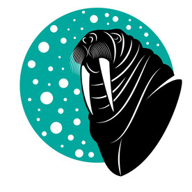 海豹