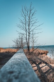 水泥路