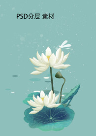 荷花