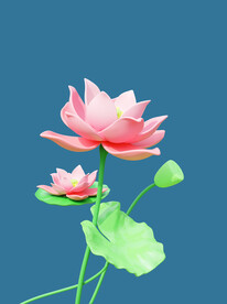荷花