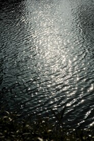 水面