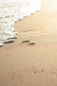 沙子沙滩