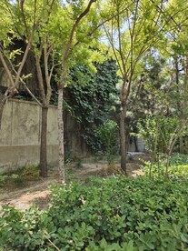 小区绿化