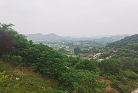 淌水涯风景