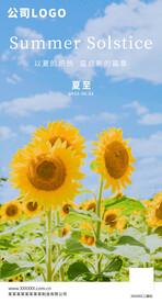 夏至海报
