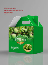 李子包装设计 平面展开图
