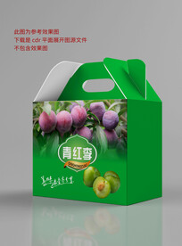 李子包装设计 平面展开图