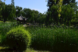 陶然亭风景