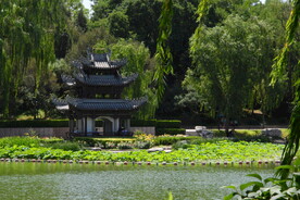 陶然亭风景 