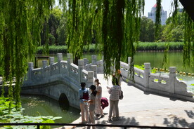 陶然亭风景 