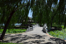 陶然亭风景