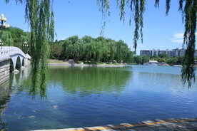 陶然亭风景 