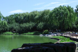 陶然亭风景 