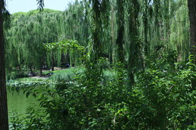 陶然亭风景 