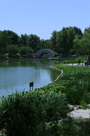 陶然亭风景 