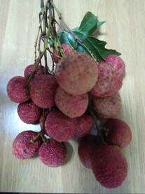 新鲜荔枝