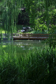 陶然亭风景