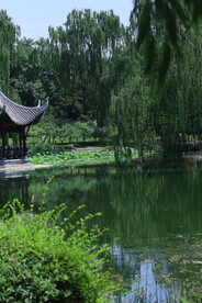 陶然亭风景
