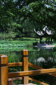 陶然亭风景 