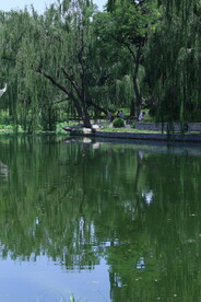 陶然亭风景 