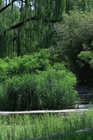 陶然亭风景 
