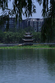陶然亭风景