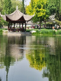 公园风景 