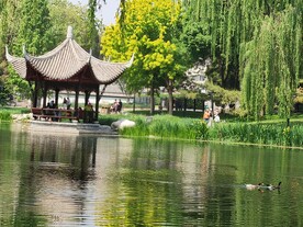 陶然亭风景 