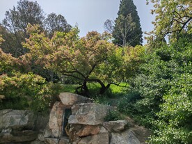 陶然亭风景
