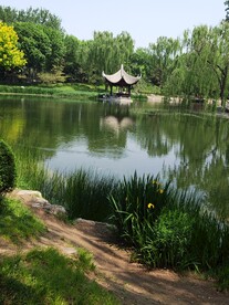 陶然亭风景