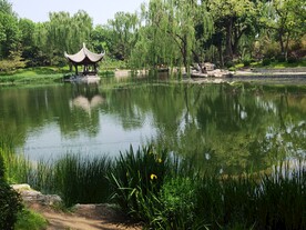陶然亭风景