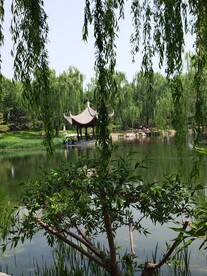 公园风景 