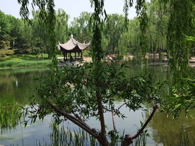 陶然亭风景