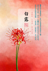 白露节气插画