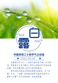 白露海报  