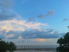 深圳红树林