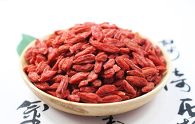 枸杞图片