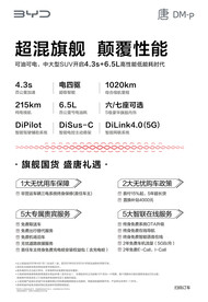 比亚迪王朝