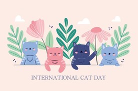 猫咪插画