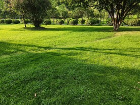 草地素材