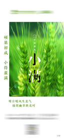 小满